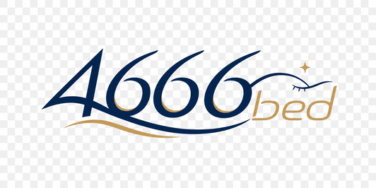 4666 bed লোগো